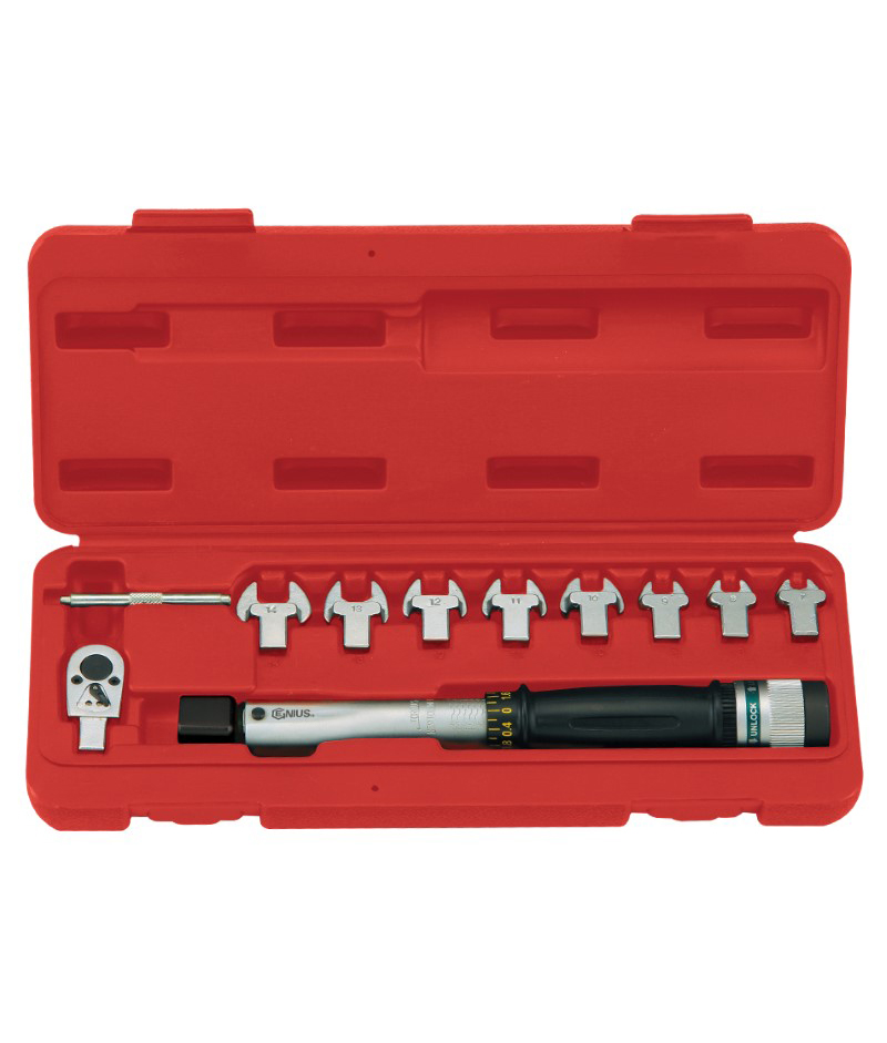 10 Piece Interchangeable Torque Handle Set 50 ~ 250 in.lb. with 1/4″ Dr. Ratchet & Open Heads